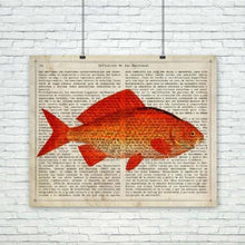 Load image into Gallery viewer, Carp Poster
