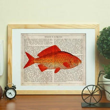 Load image into Gallery viewer, Carp Poster
